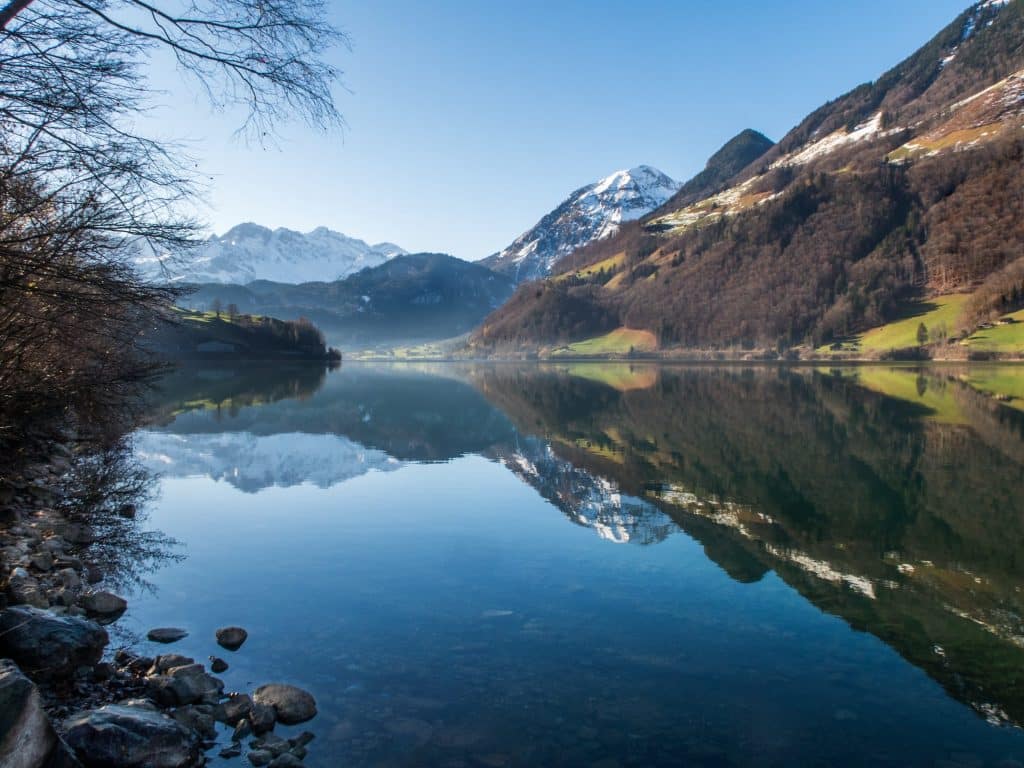 Insignia partners with SWISS MEDBANK