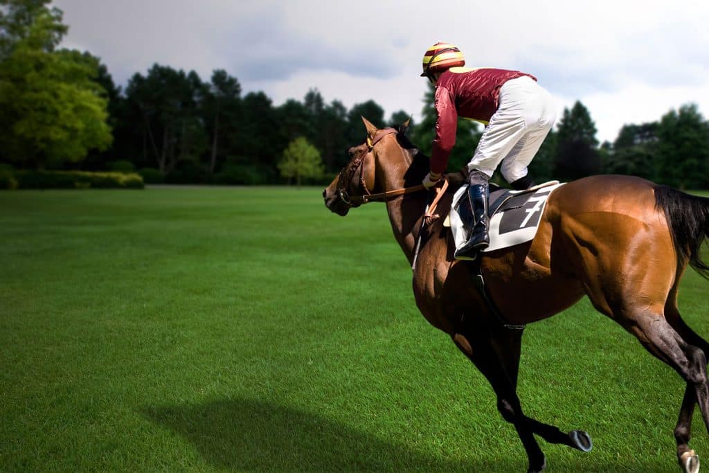 The magic of racehorse ownership