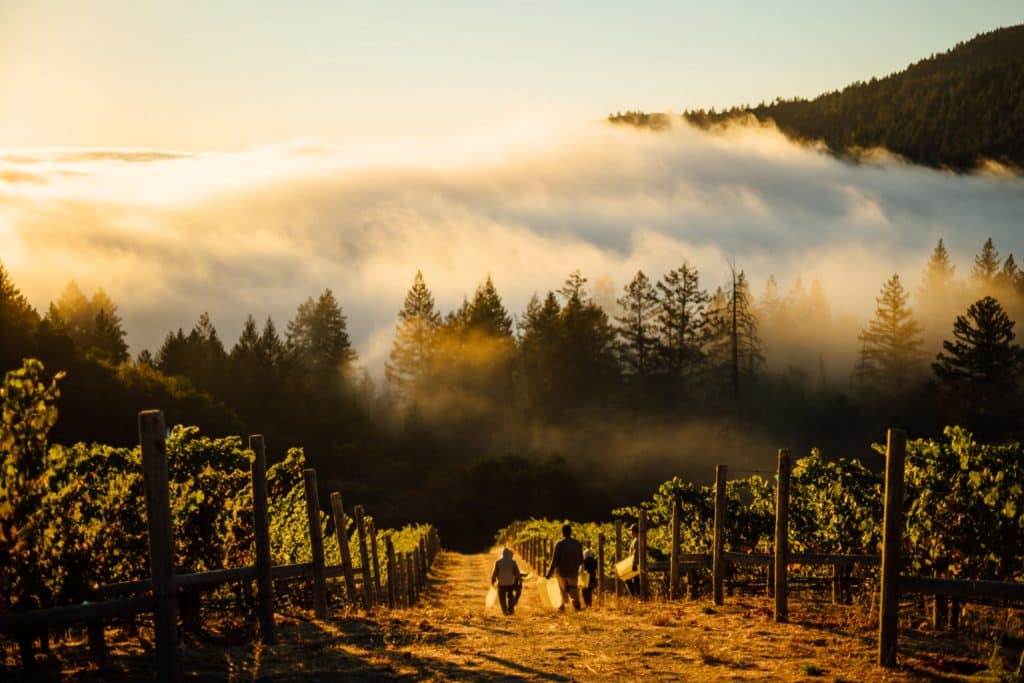 The World’s Most Impressive Wineries