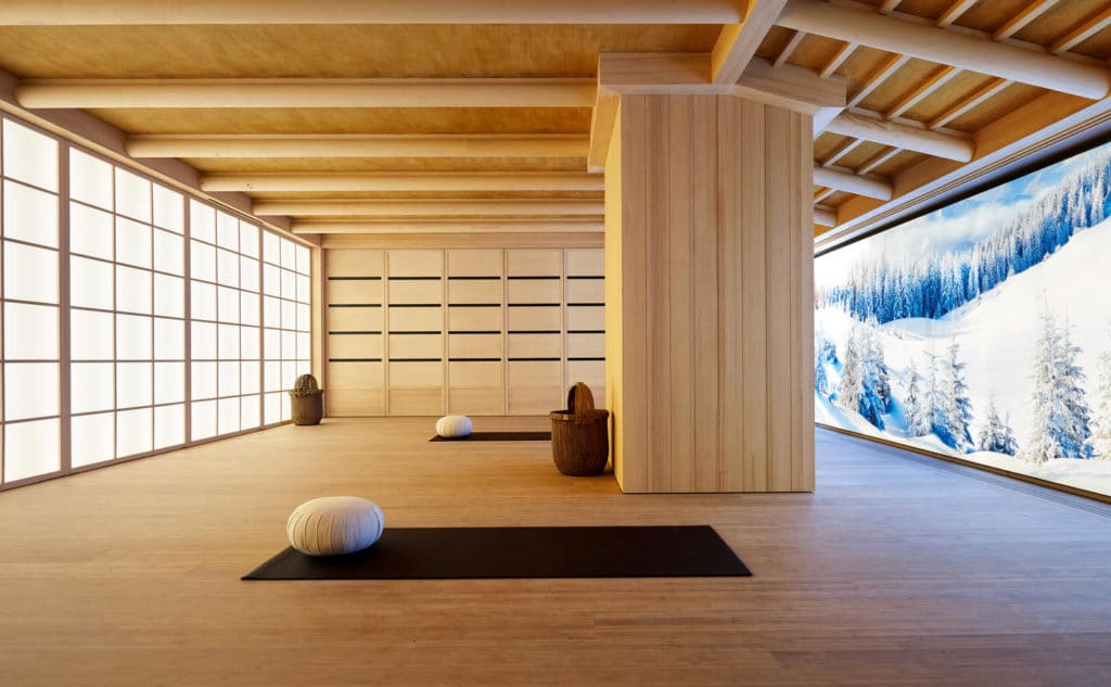 Ski or Spa Escape