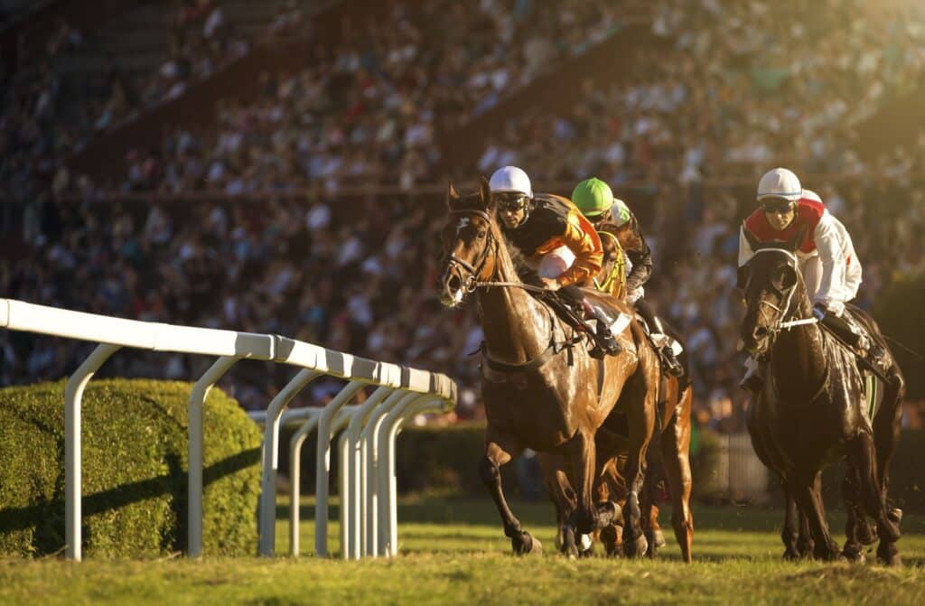 Events: Experience the Dubai World Cup in Style