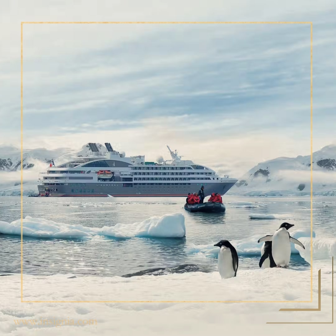 Insignia Arctic Escapes
